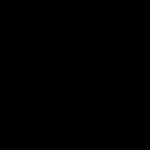 Meet your Posher, Aleah